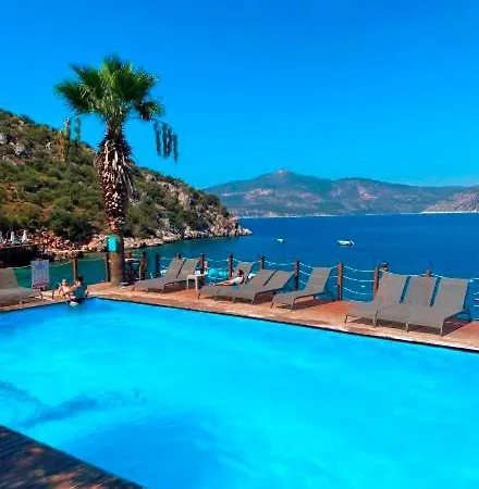 Park Hotel 3*