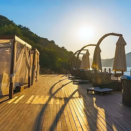 Отель Park 5*