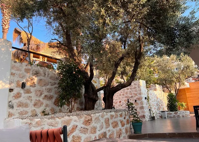 酒店 Park 卡尔坎